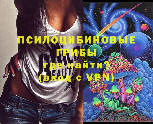 шишки Богданович