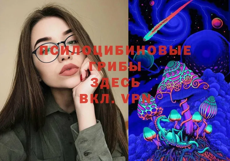 Галлюциногенные грибы Magic Shrooms  omg вход  Калач-на-Дону 